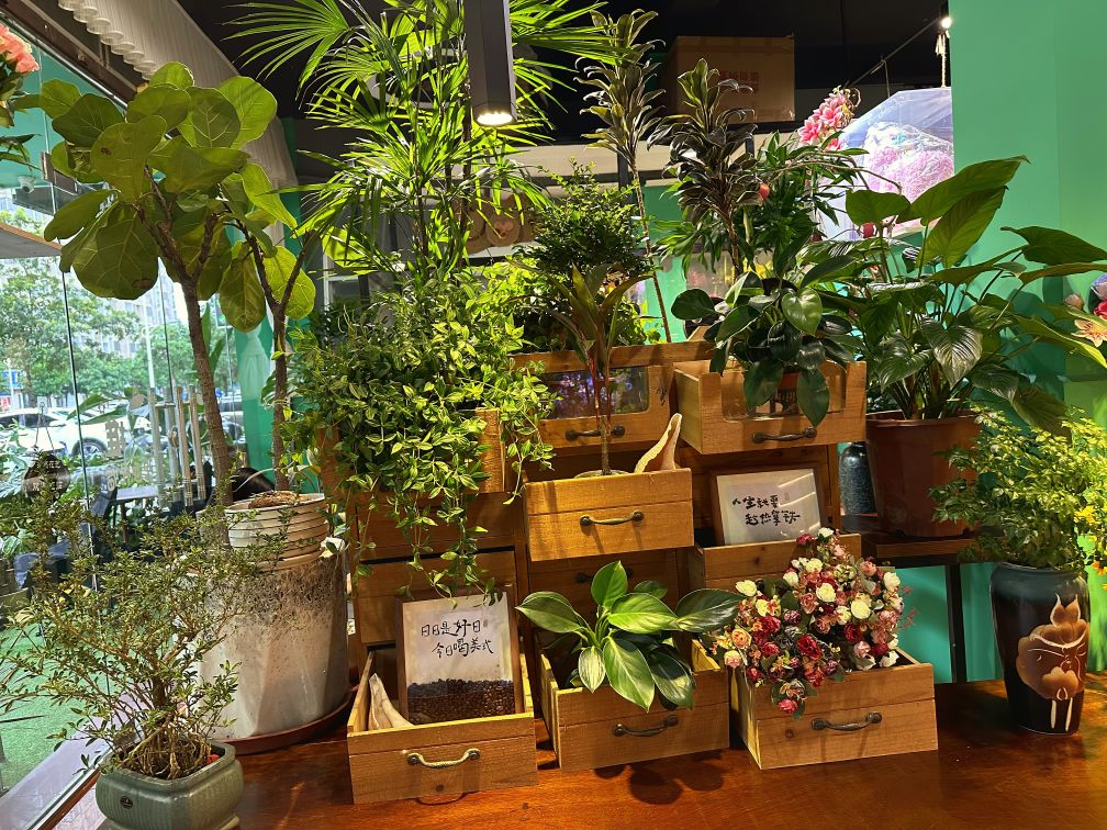 芳泉花艺(东升店)
