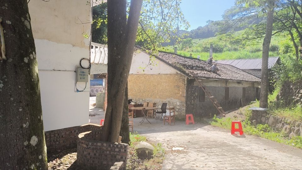 广东知青茶杉