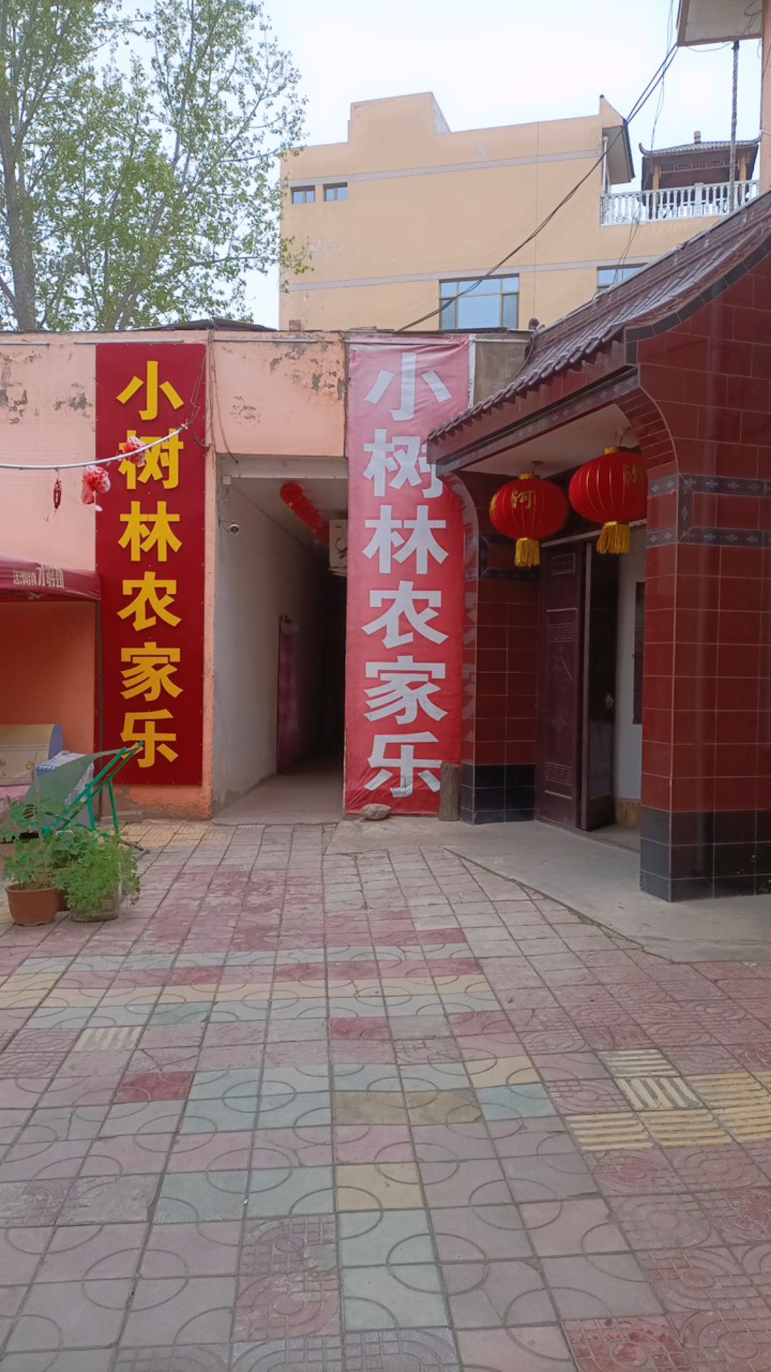 临洮县小树林农家乐
