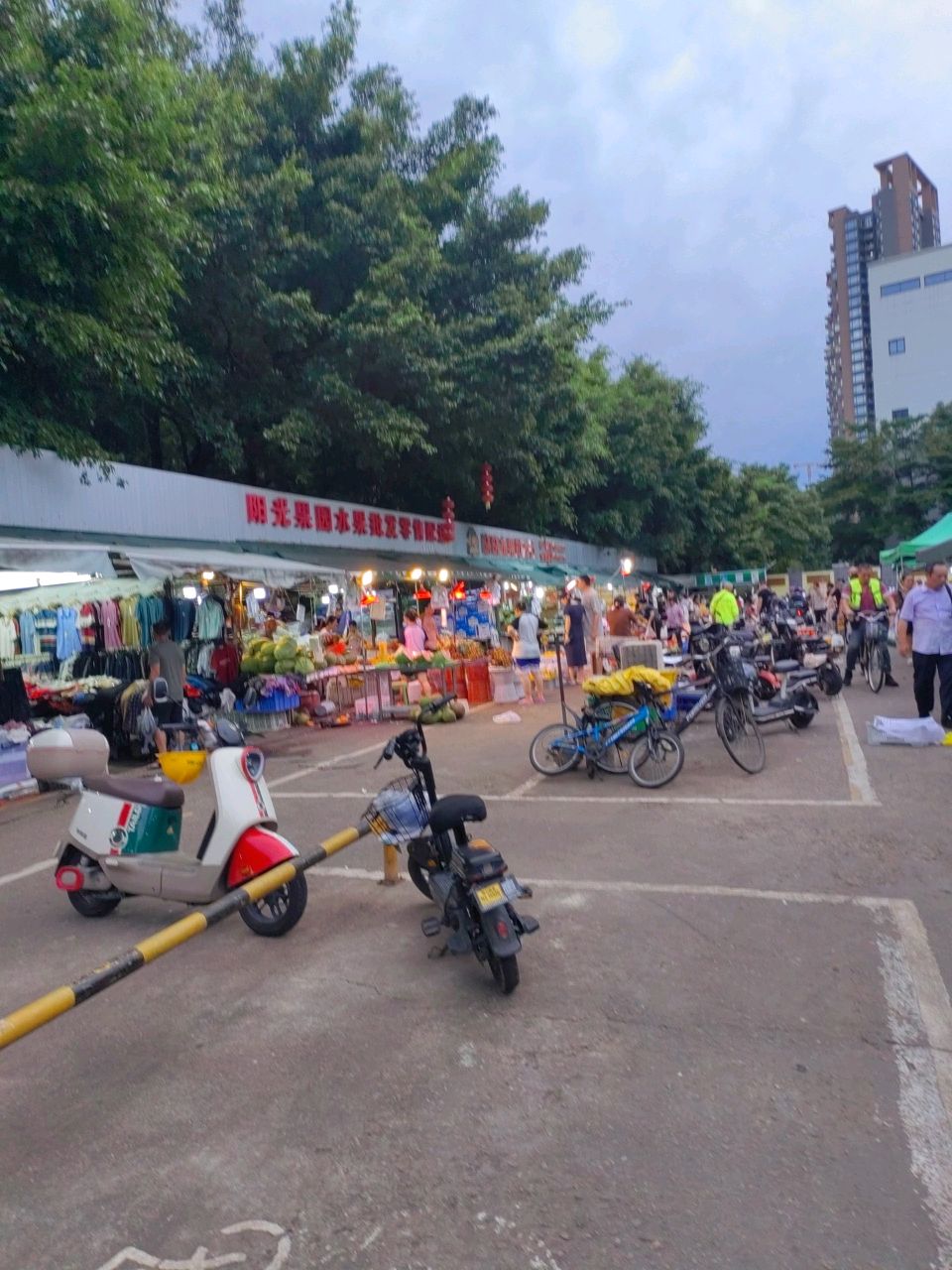 阳光果园水果批发零售配送