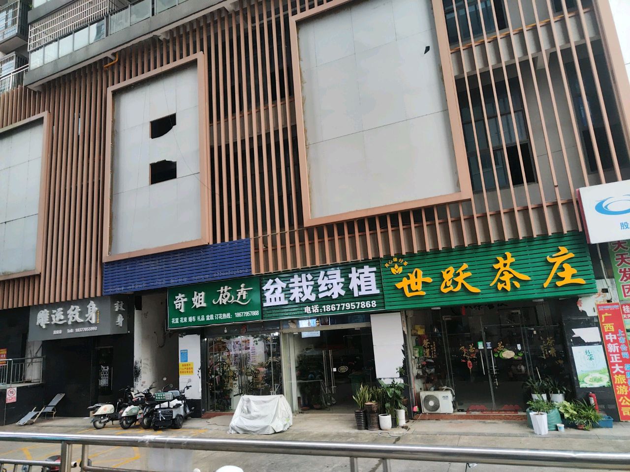 盆栽绿植
