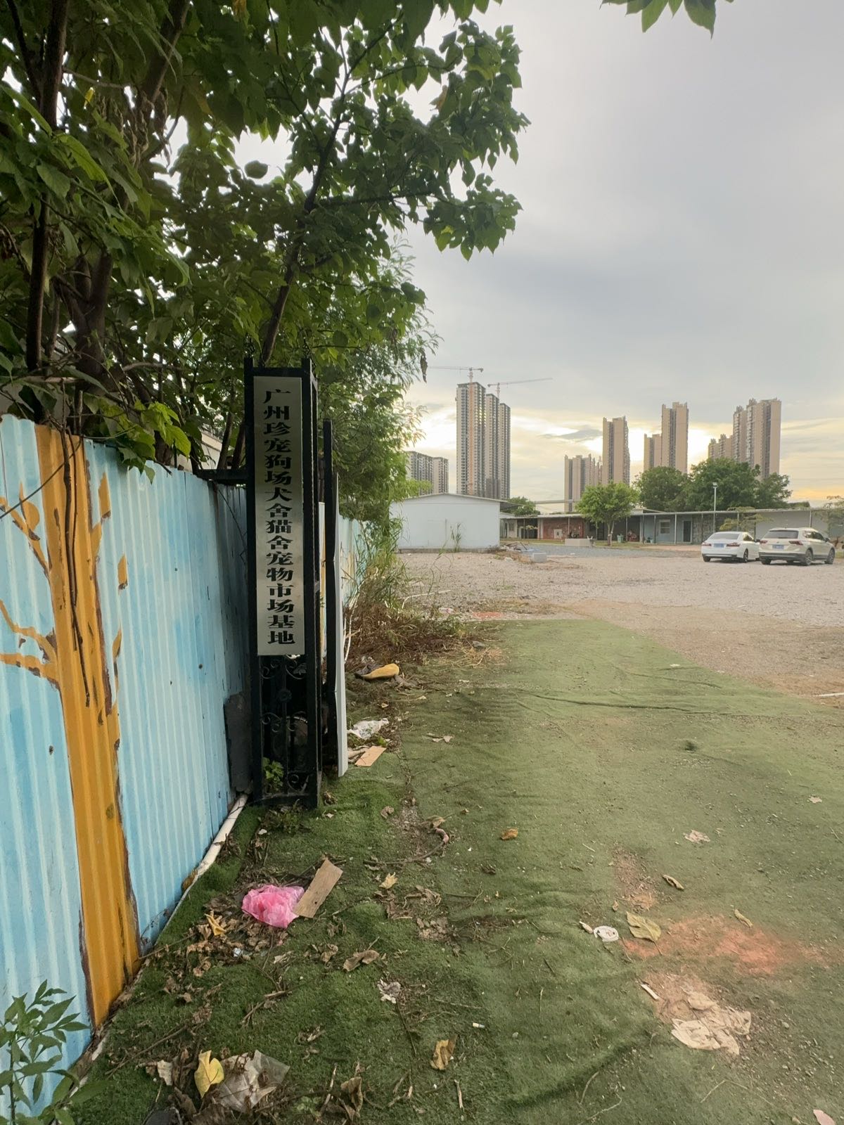 广州珍宠狗场犬舍猫舍宠物市场基地
