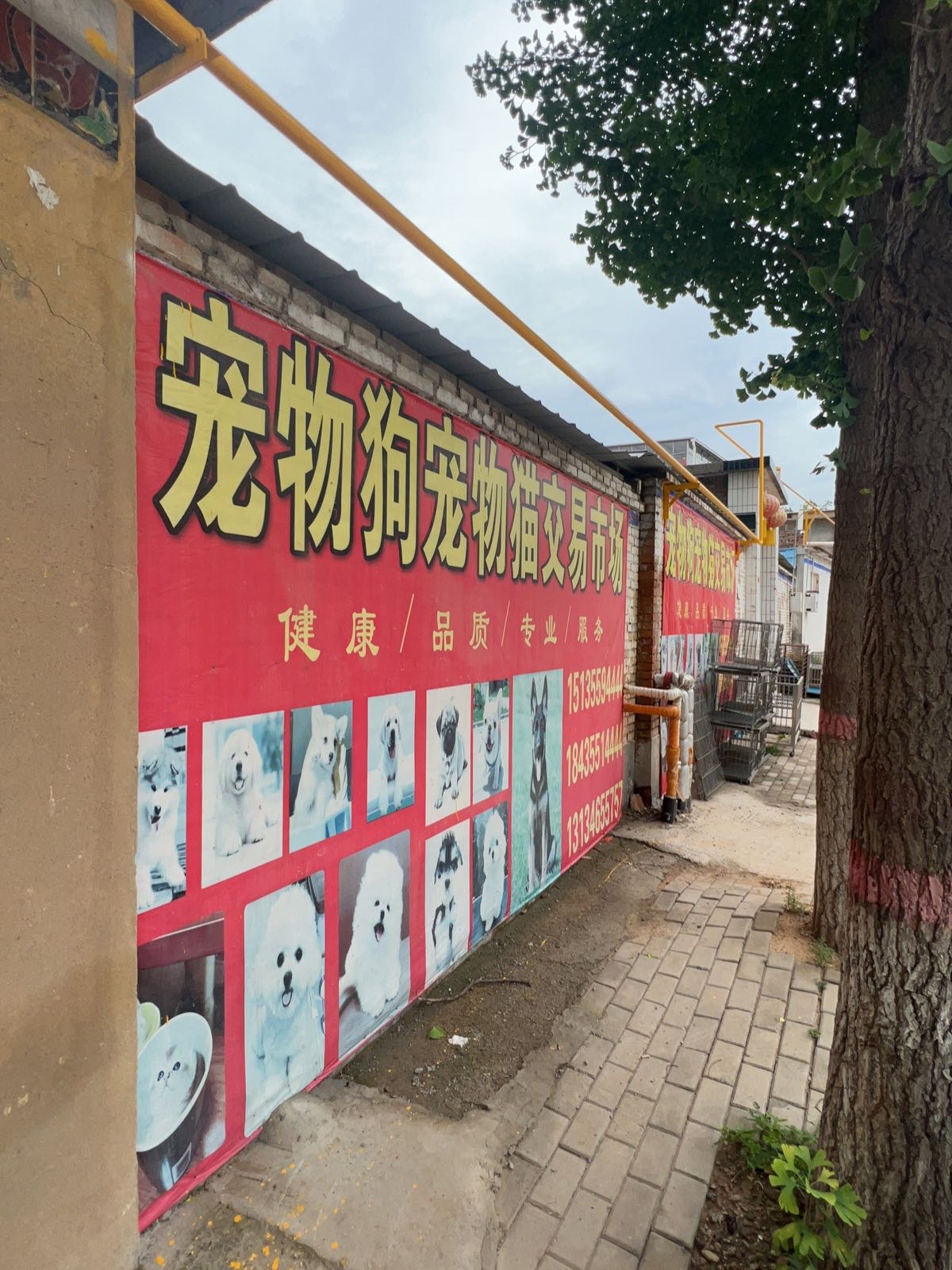 长治宠物工厂