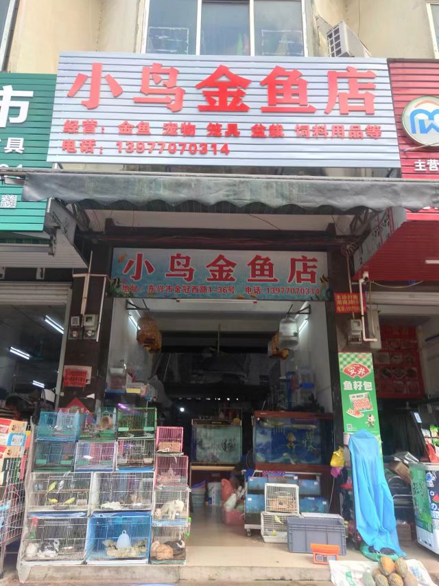 小鸟金鱼店(金冠西路店)