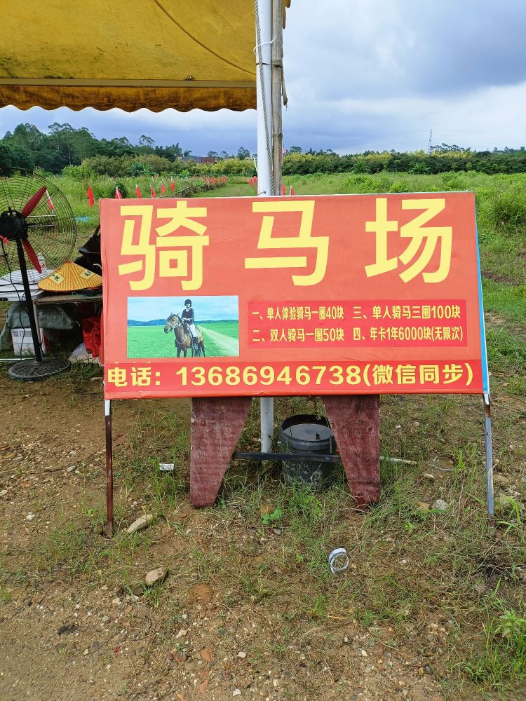 江门骑马场