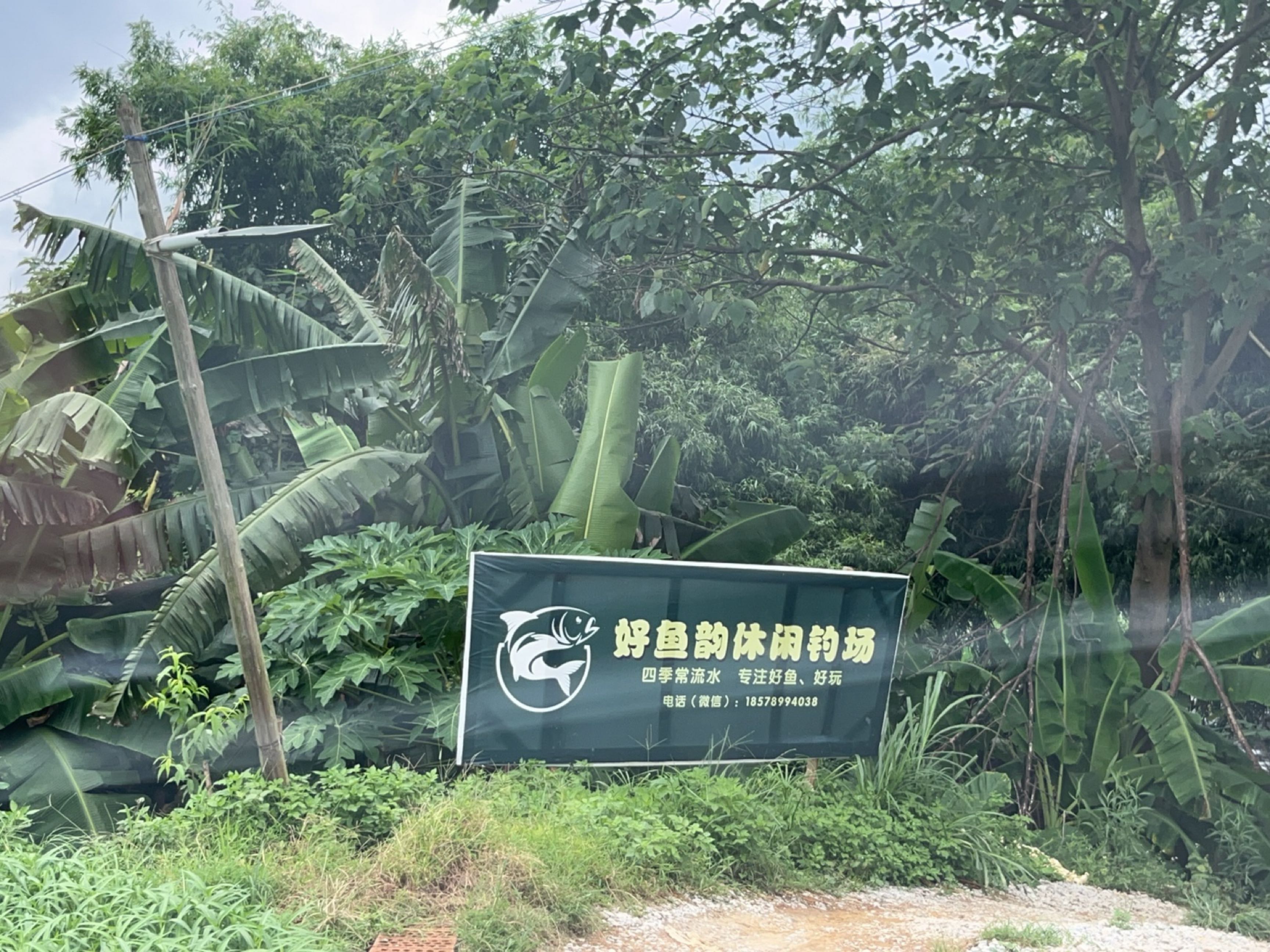 安吉好鱼韵休闲钓场