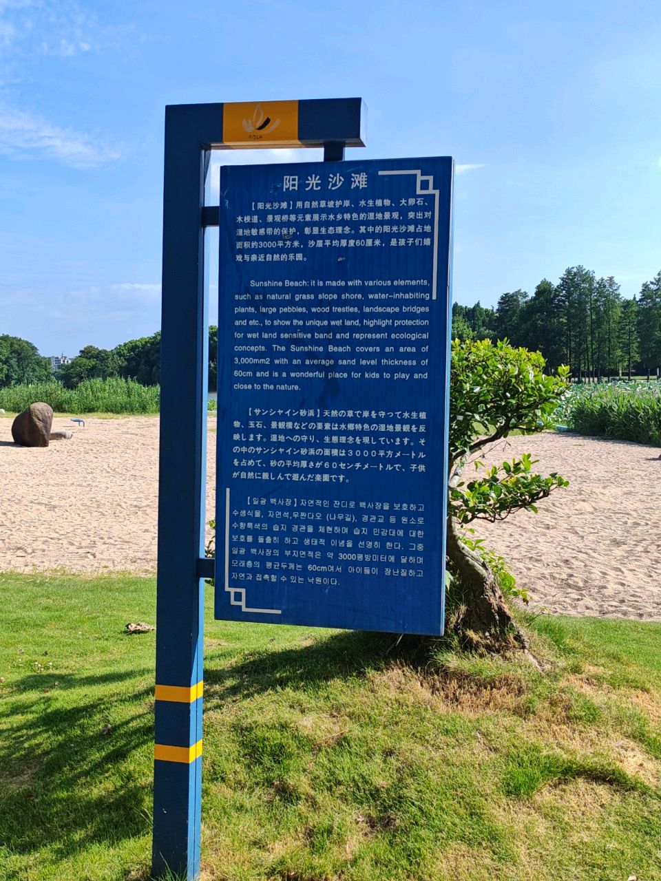 阳光沙滩
