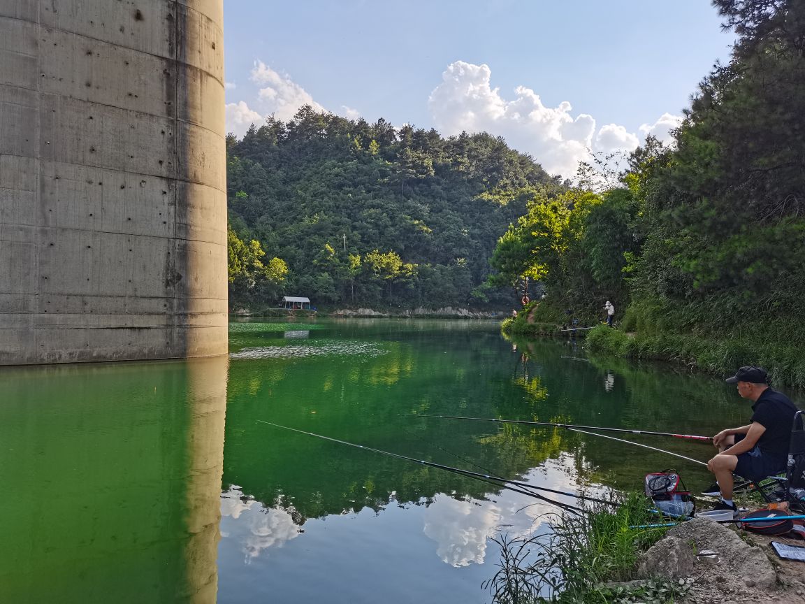 杨柳冲水库休闲垂钓中心