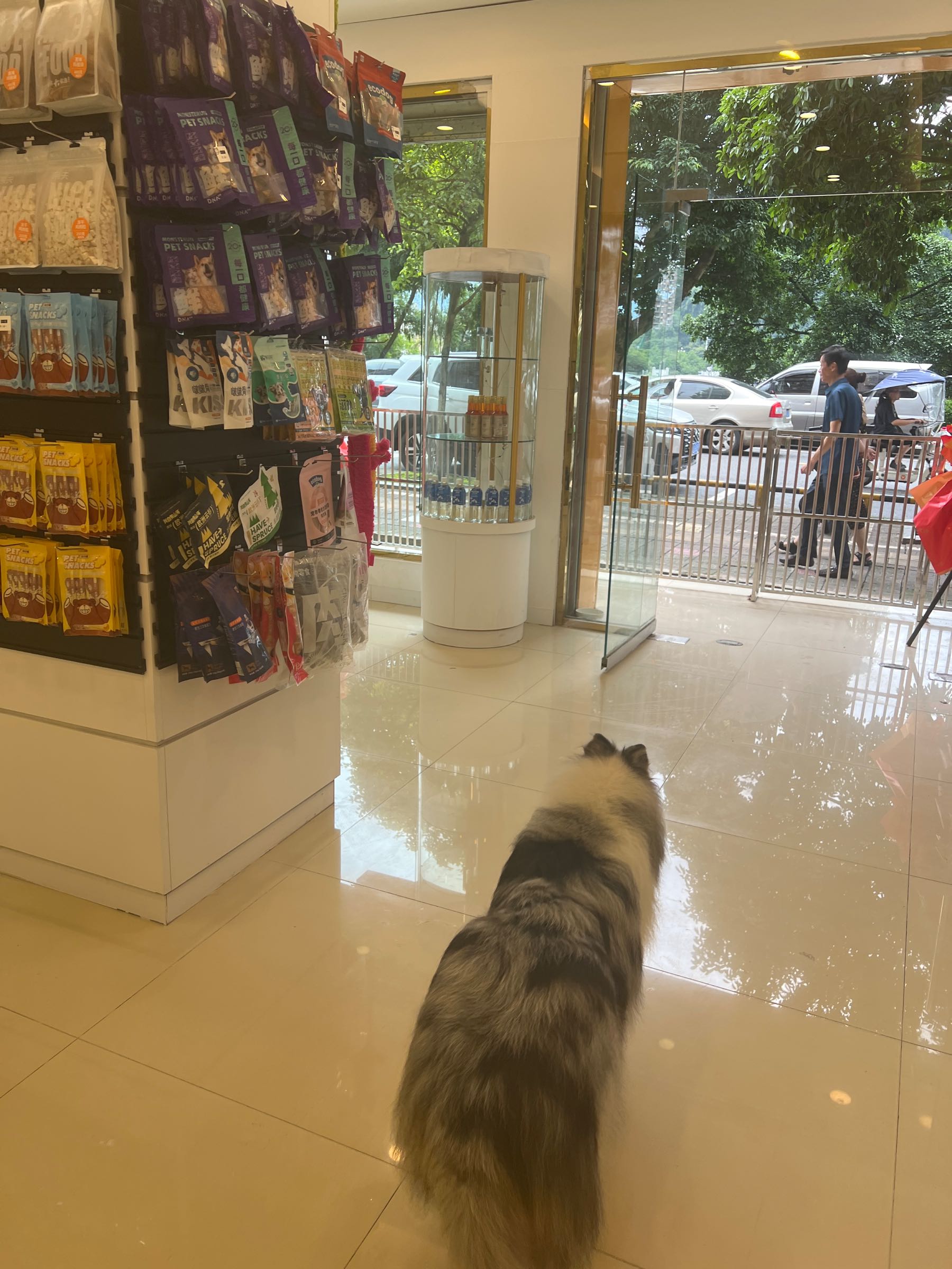 噜噜喵宠物(西康东路店)