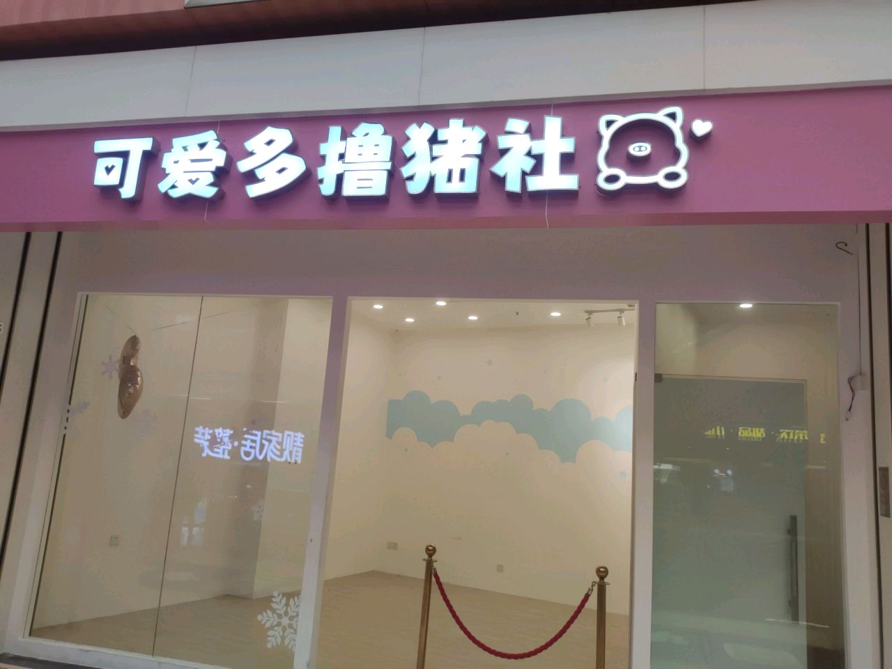 可爱多撸猪社(开平东汇城开平大道店)