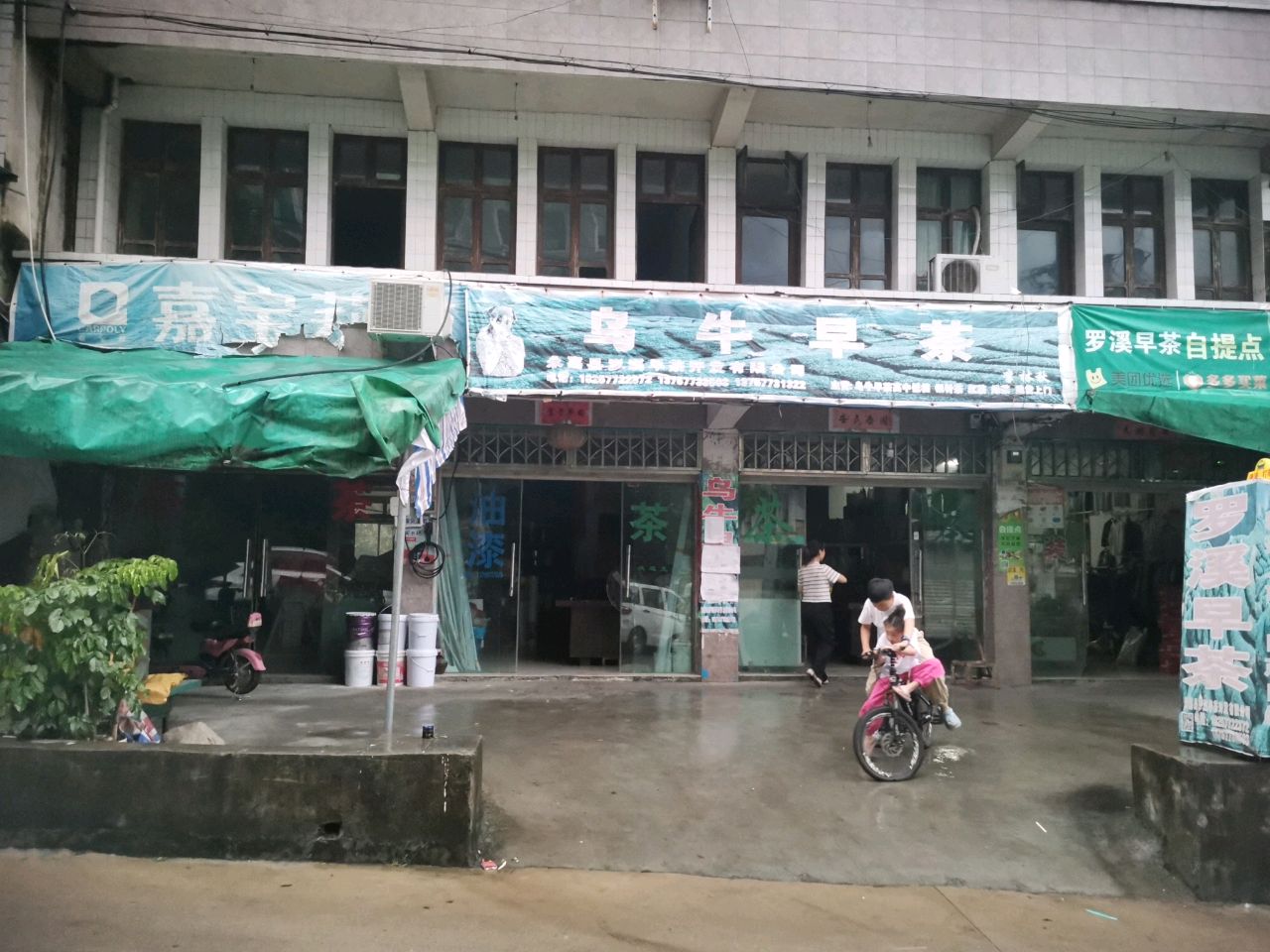 茗春茶行乌牛早茶