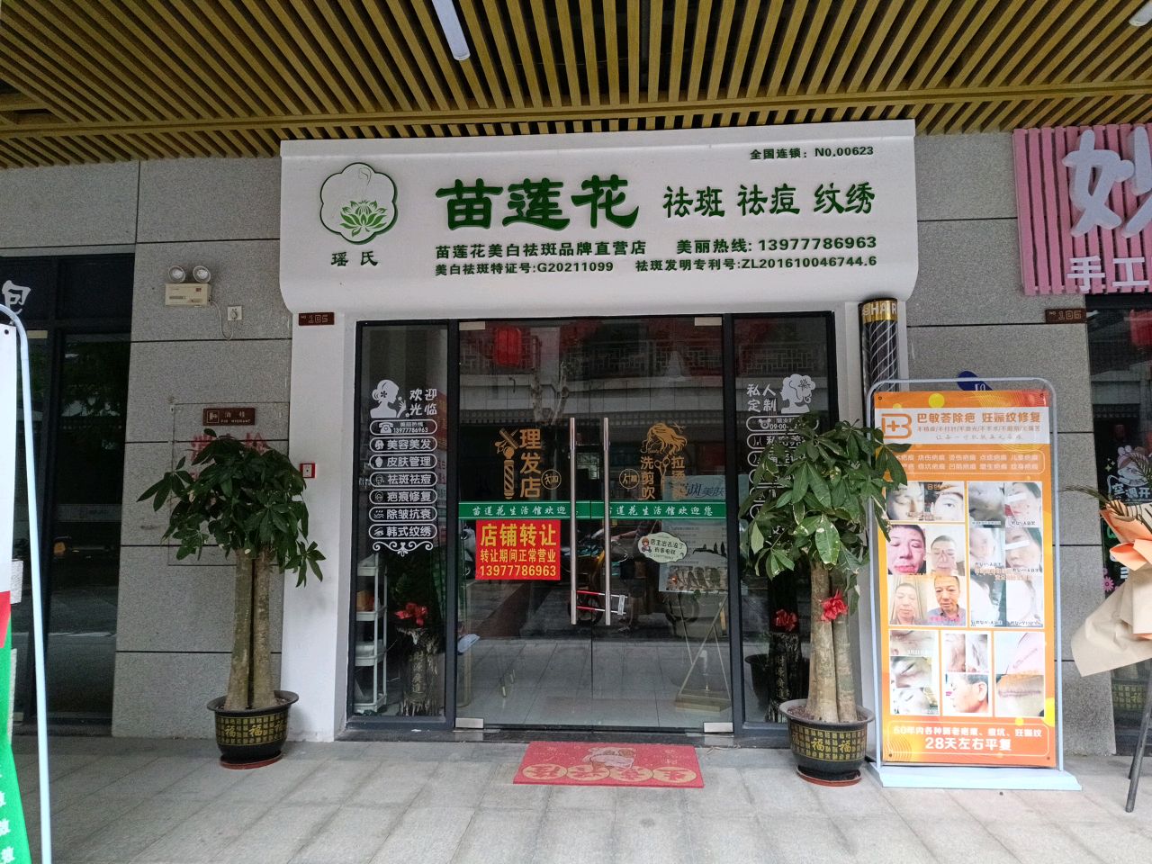苗莲花祛斑祛痘