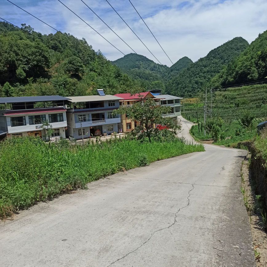 大山村