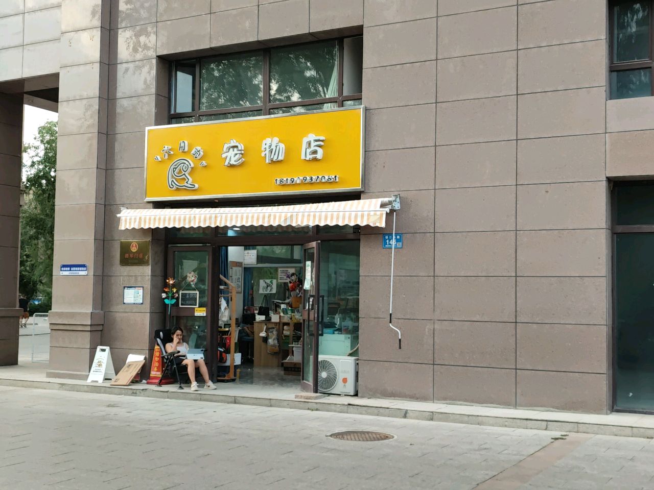 六月的宠物店