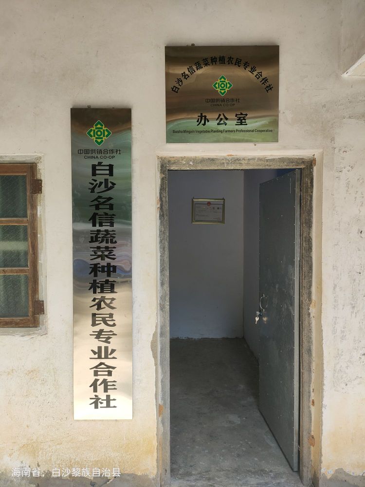 白沙名信蔬菜种植农民专业合作社