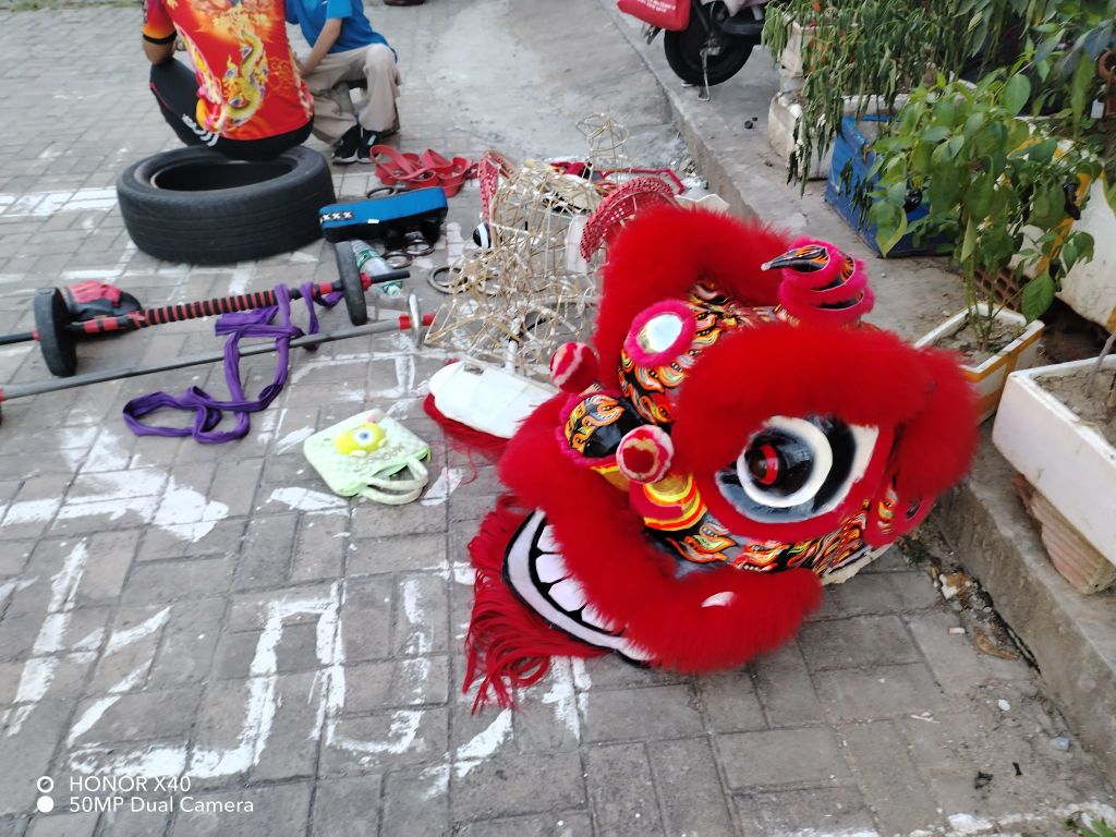 洪武龙狮