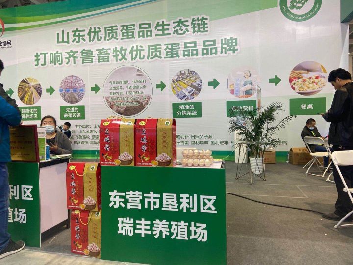 东营市垦利区永安瑞丰蛋鸡养殖场