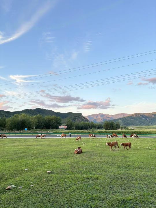 赤峰与山与舍特色民宿