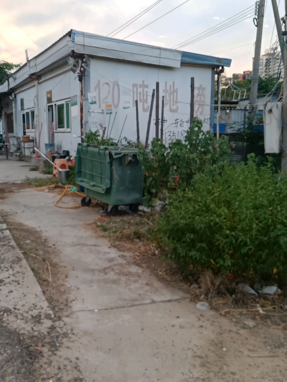 东方果蔬冷库地磅