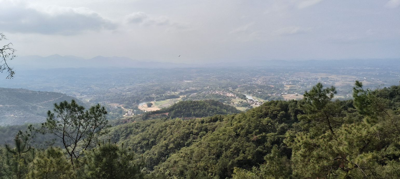 云桂山