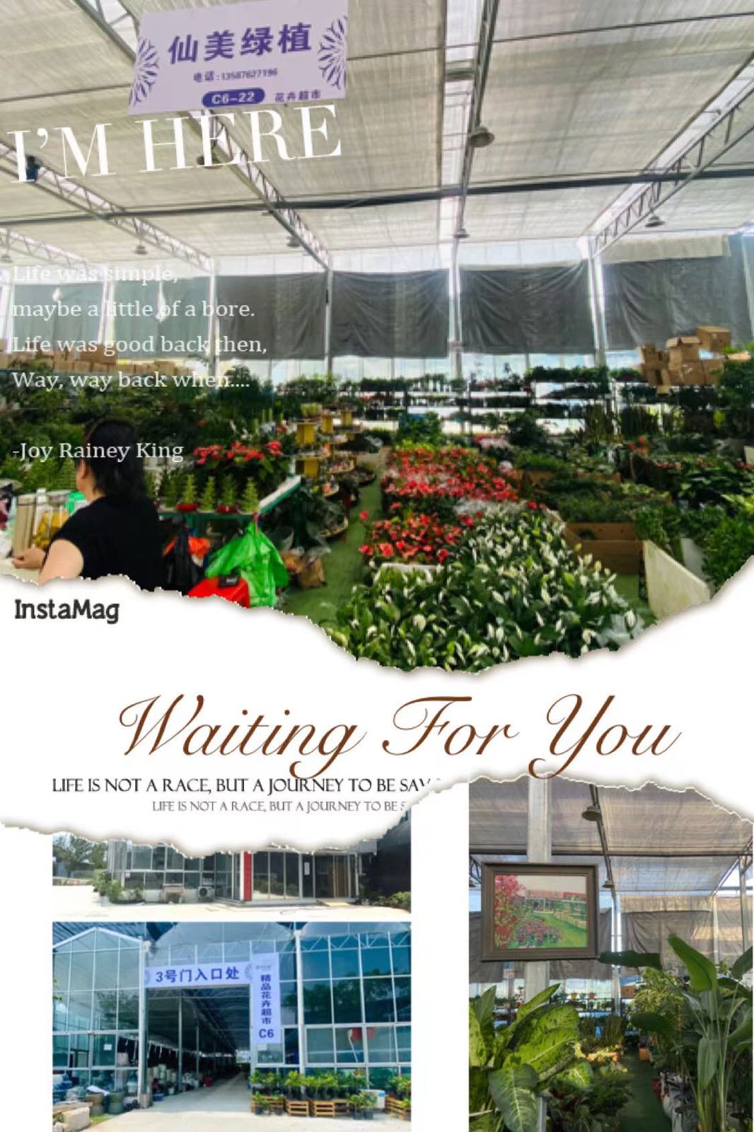 仙岩仙美花店(温州花城店)