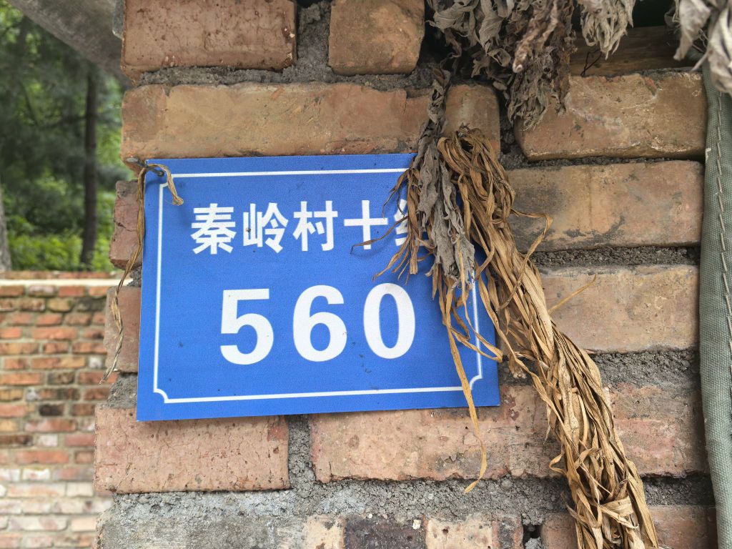 秦岭村10组560号