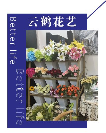 云鹤花艺