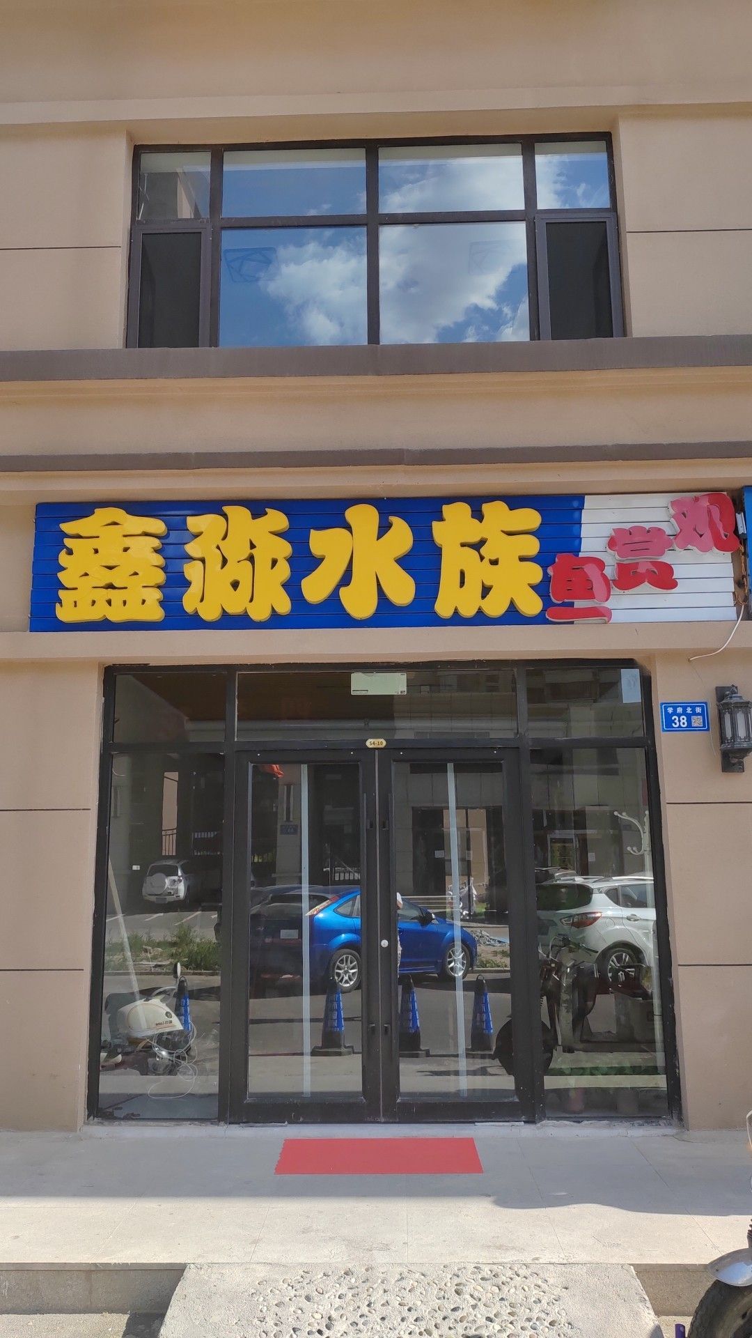 鑫淼水族(广泰东街店)
