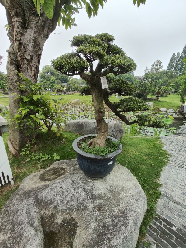 蜀道通衢-古医温泉