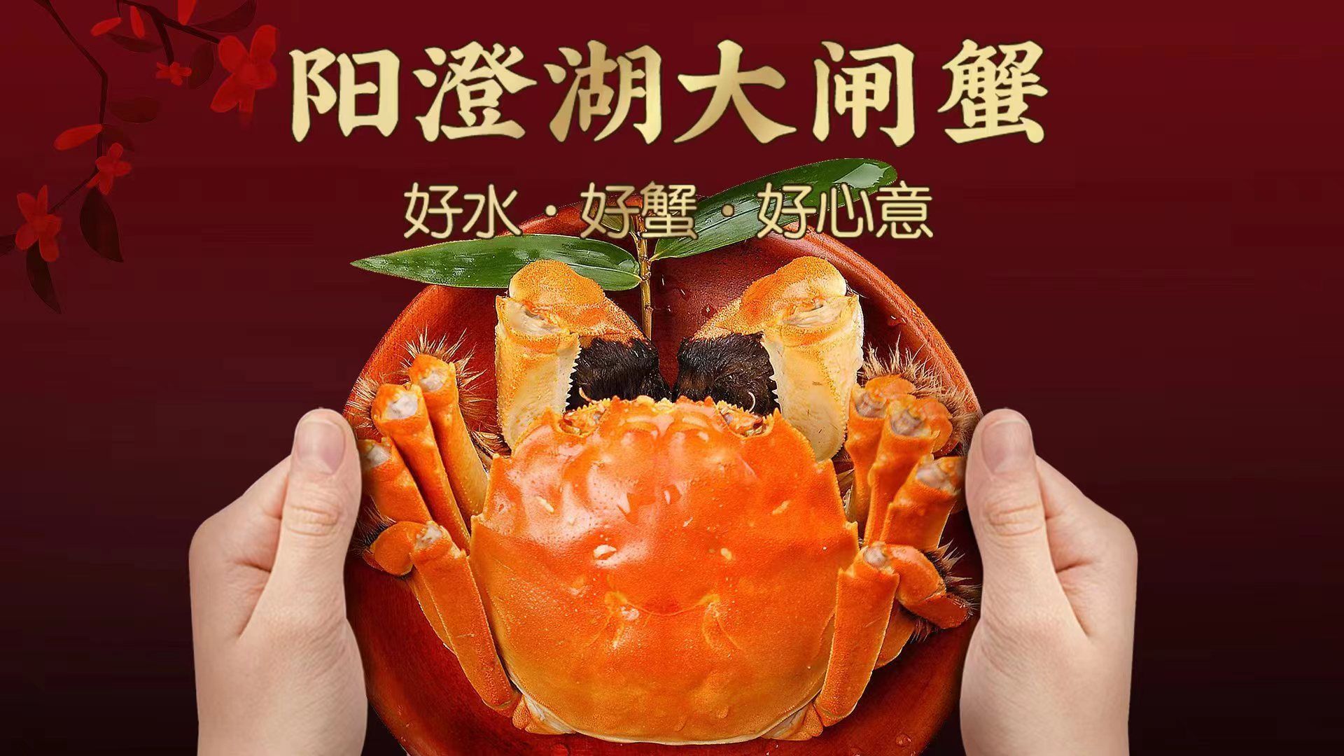 阳澄湖大闸蟹(颍泉万达店)