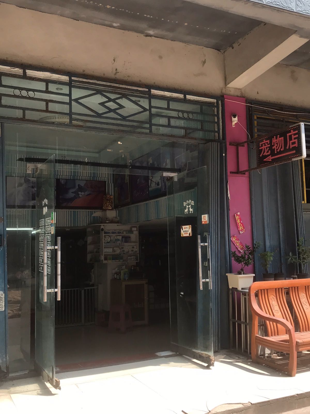 聪聪宠物店