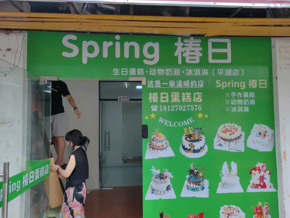 Spring椿日动物奶油·生日蛋糕·冰淇淋(平湖店)