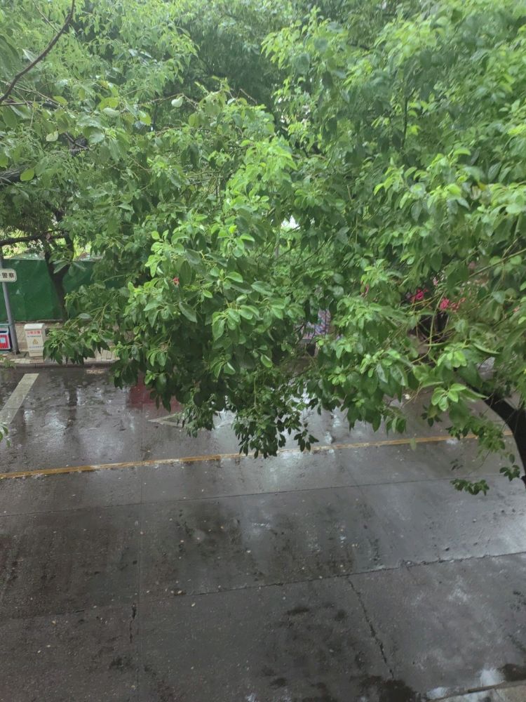 喜开锁业(抚北路店)