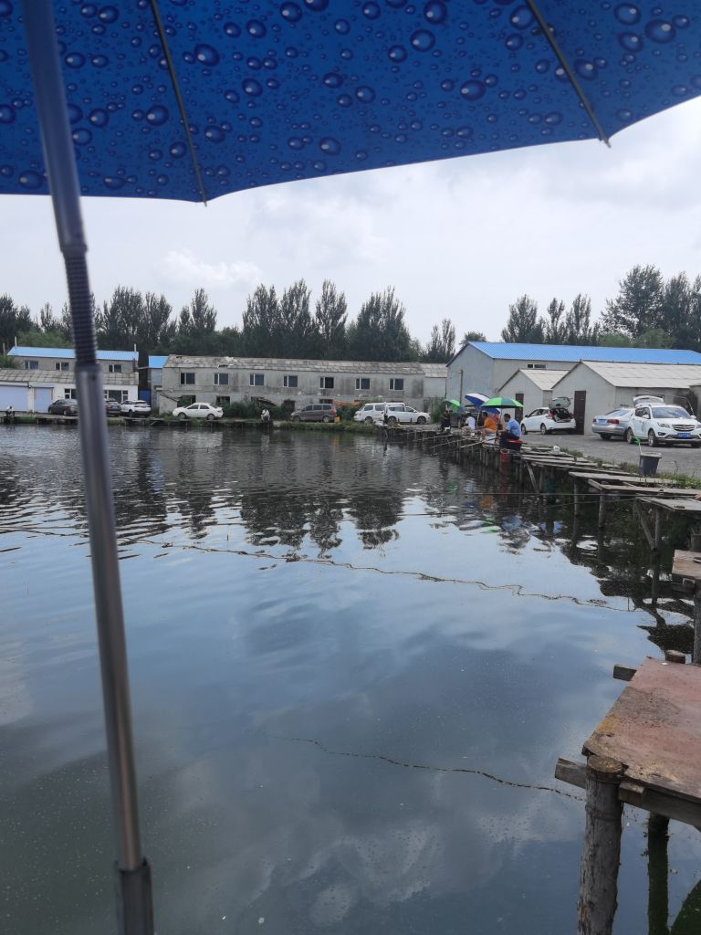 兴隆钓场(西四环路)