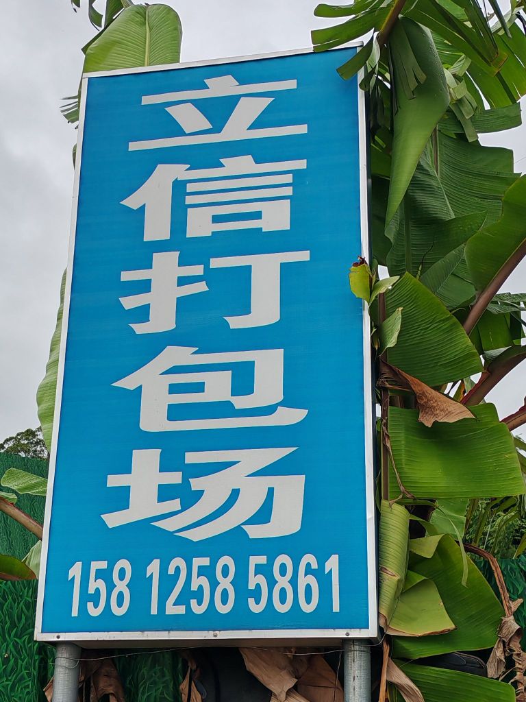 立信废铁打包场