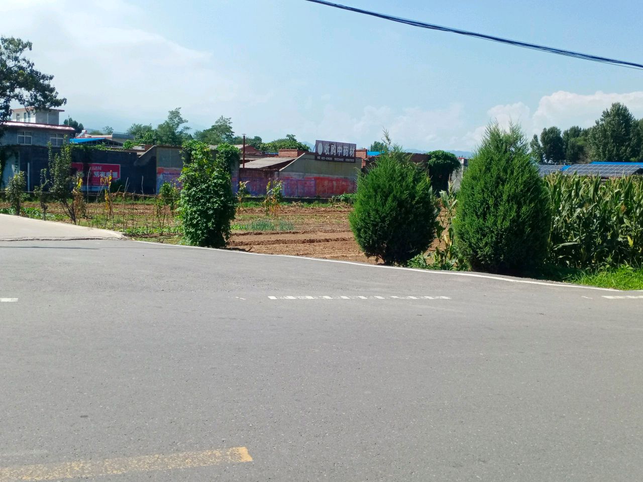 收购中药材