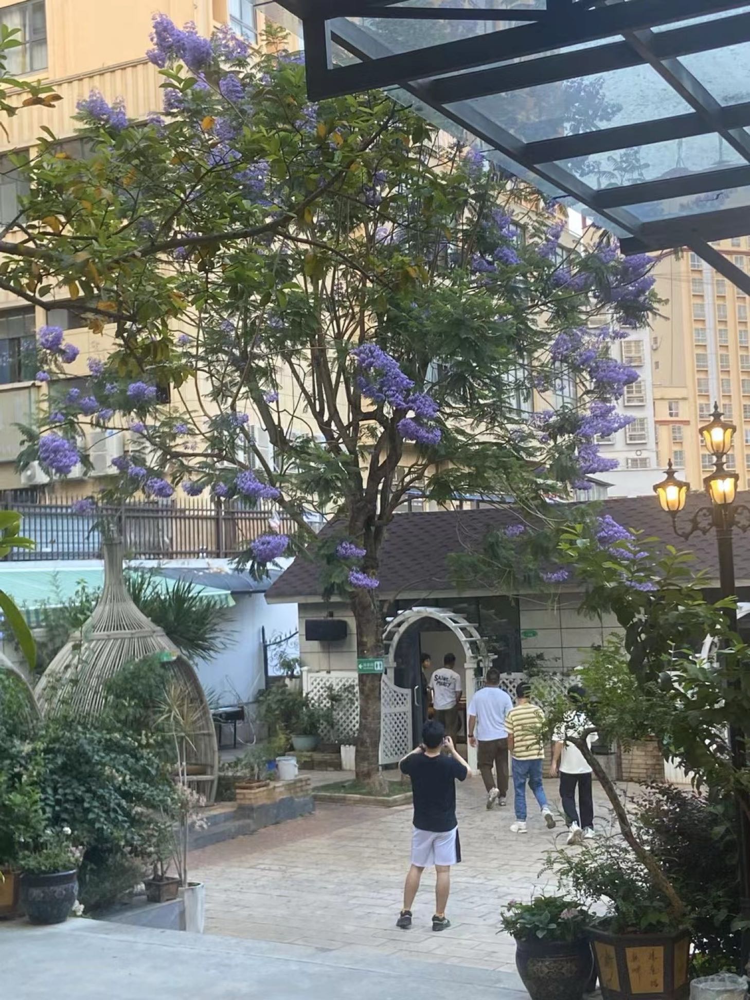 老树人家清真餐厅