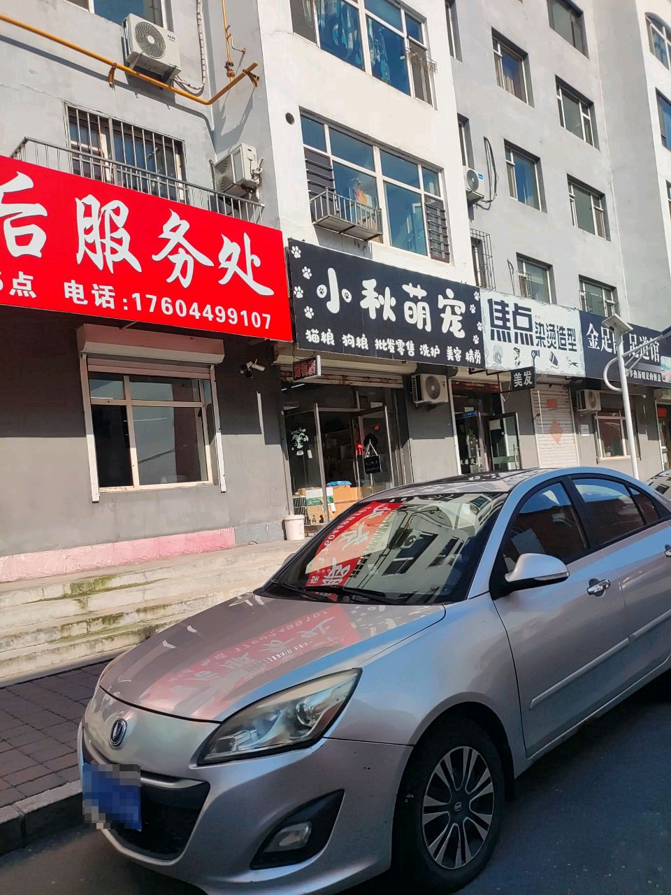 小秋萌宠