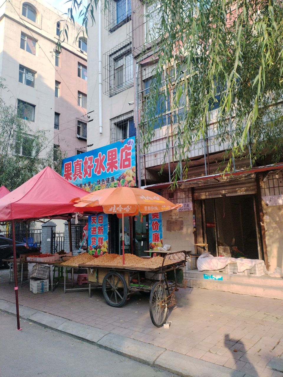 果真好水果店