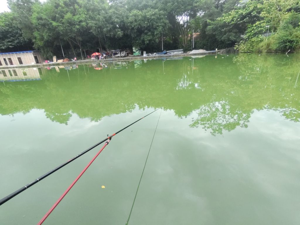 乡村大世界-垂钓基地