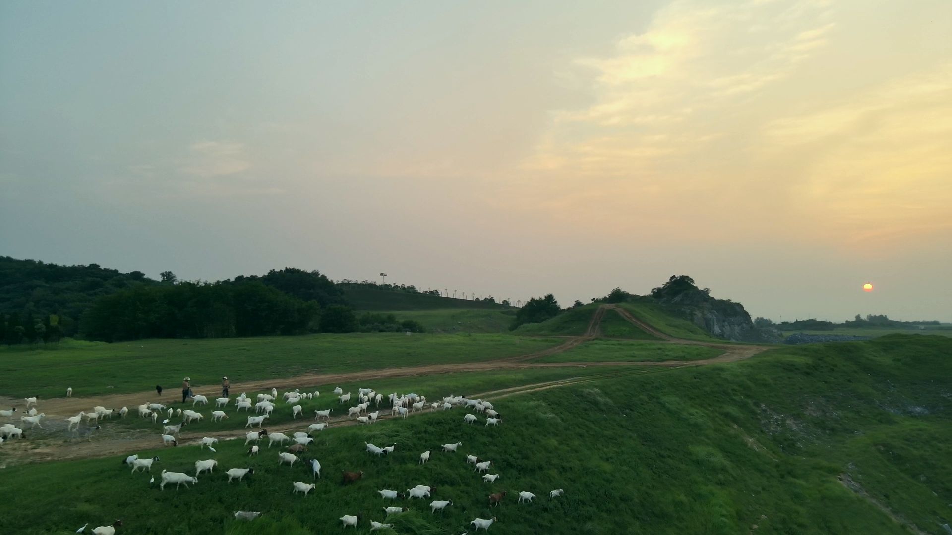 毛湾冬泳基地