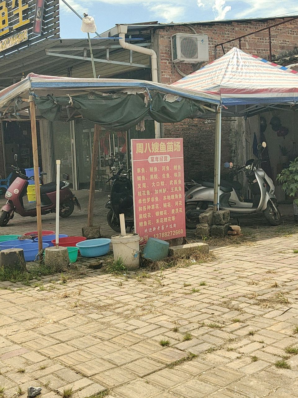黄师傅横县鱼生