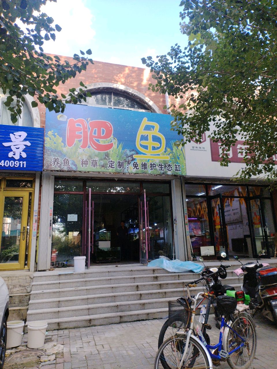 肥鱼
