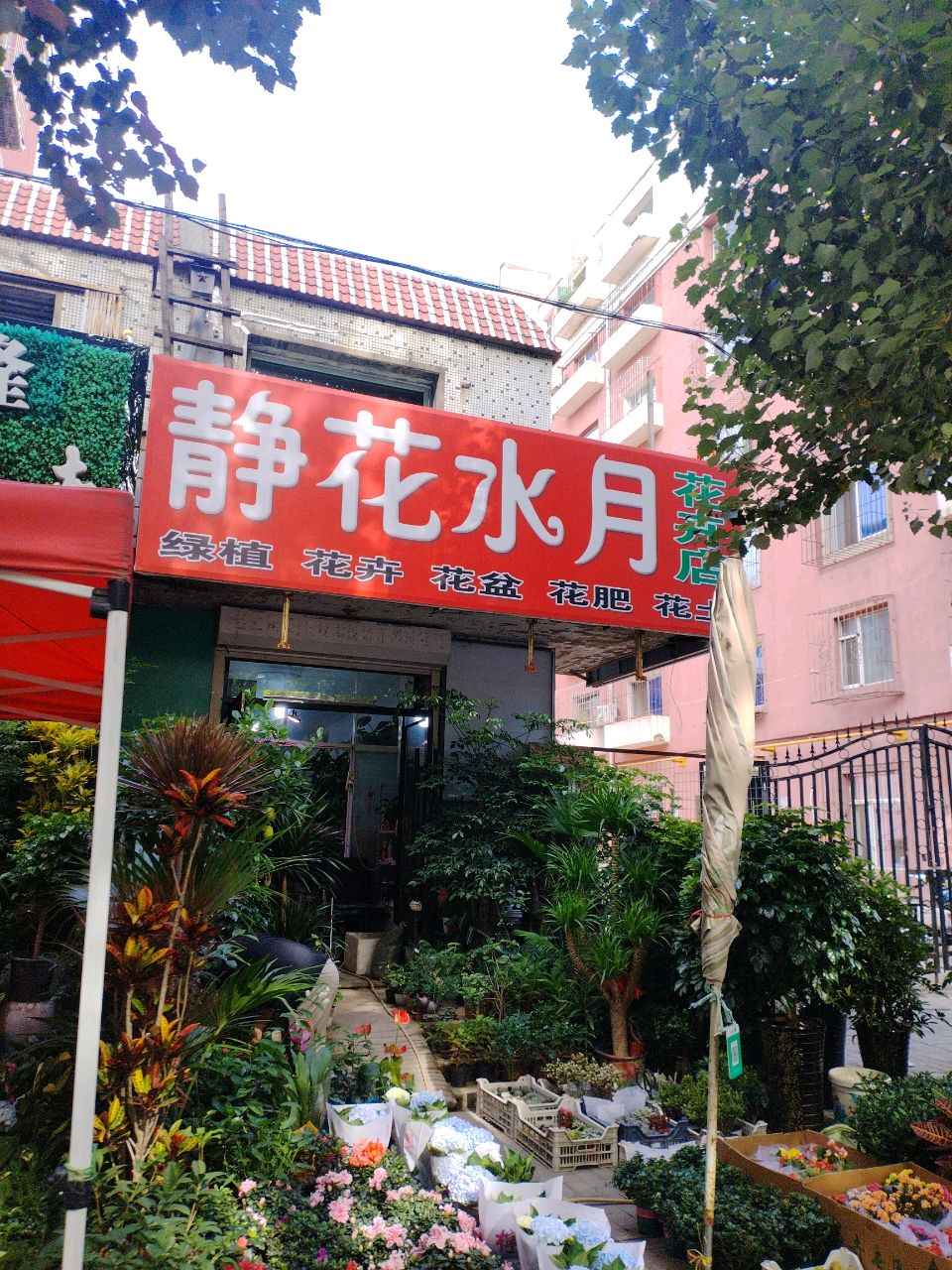 静花水月花卉店(安居为民小区店)