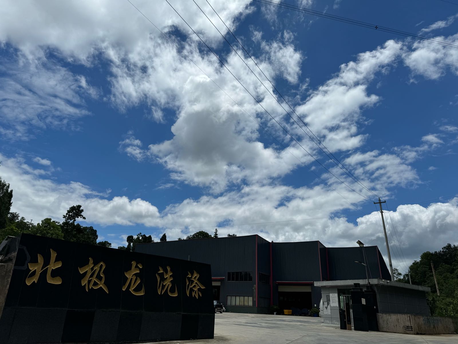 北极龙洗涤