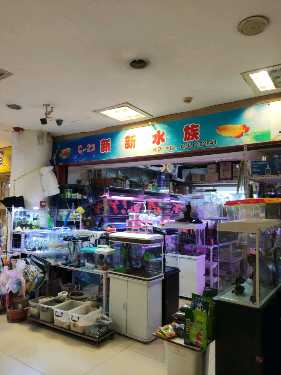 新新水族