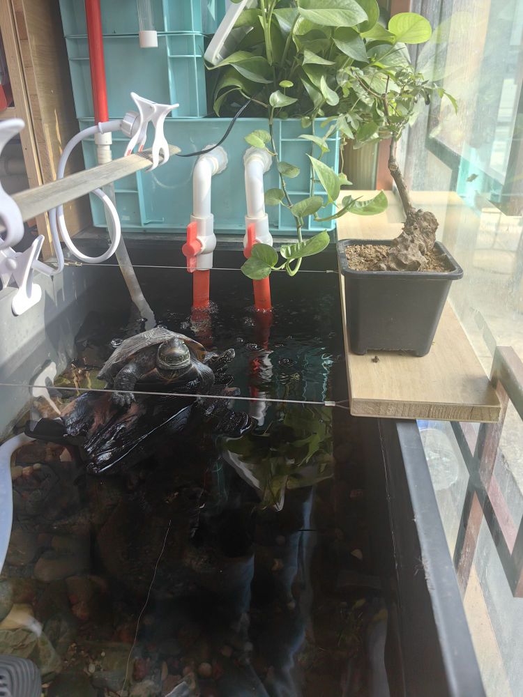 千奇百宠·宠物医疗诊所