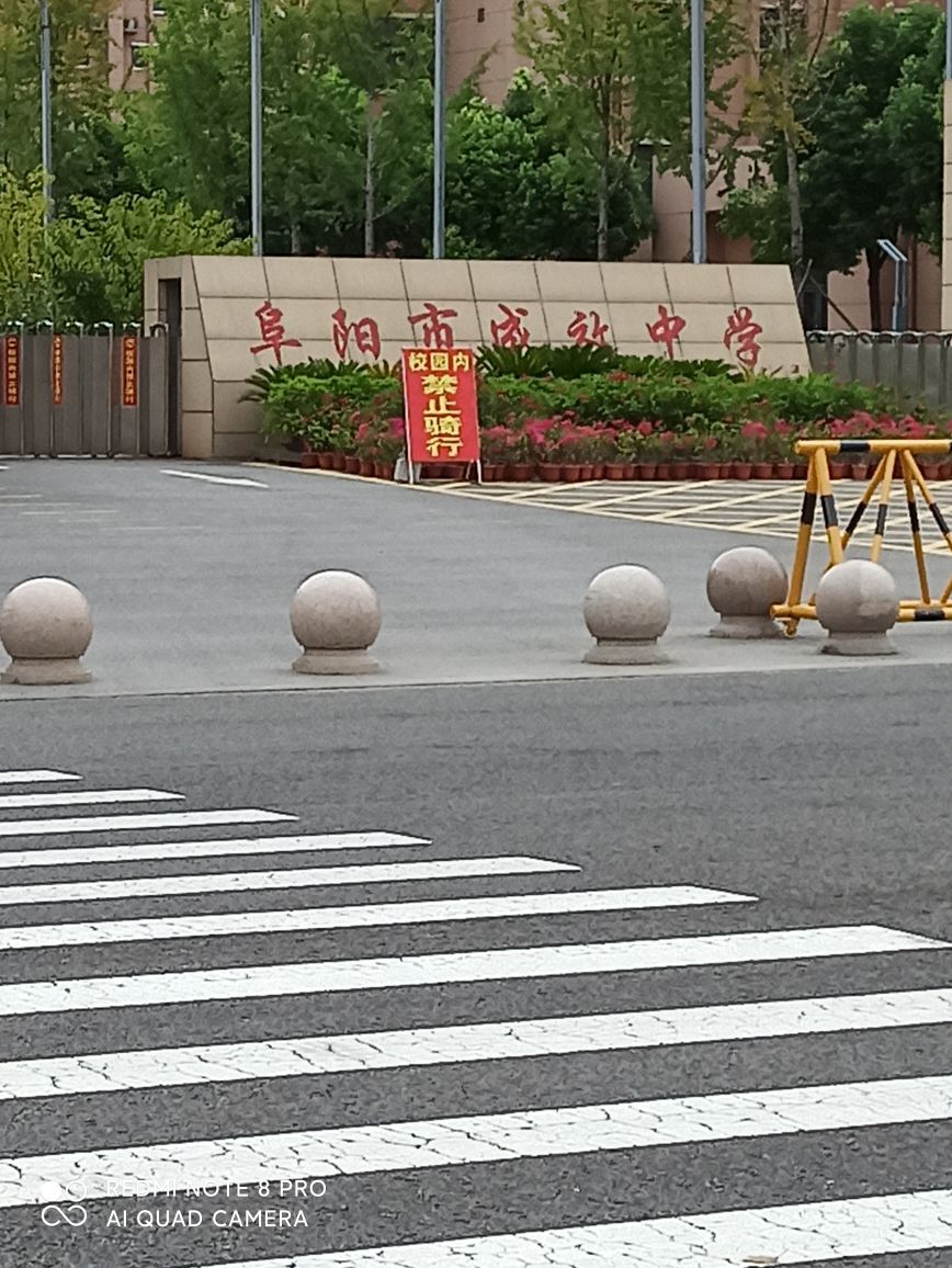 阜阳市城效中学岳家湖校区