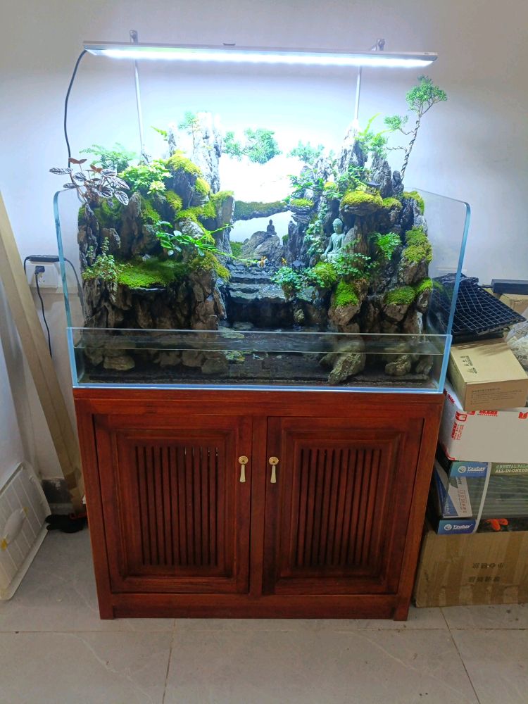 粤绘自然造景·二手鱼缸买卖