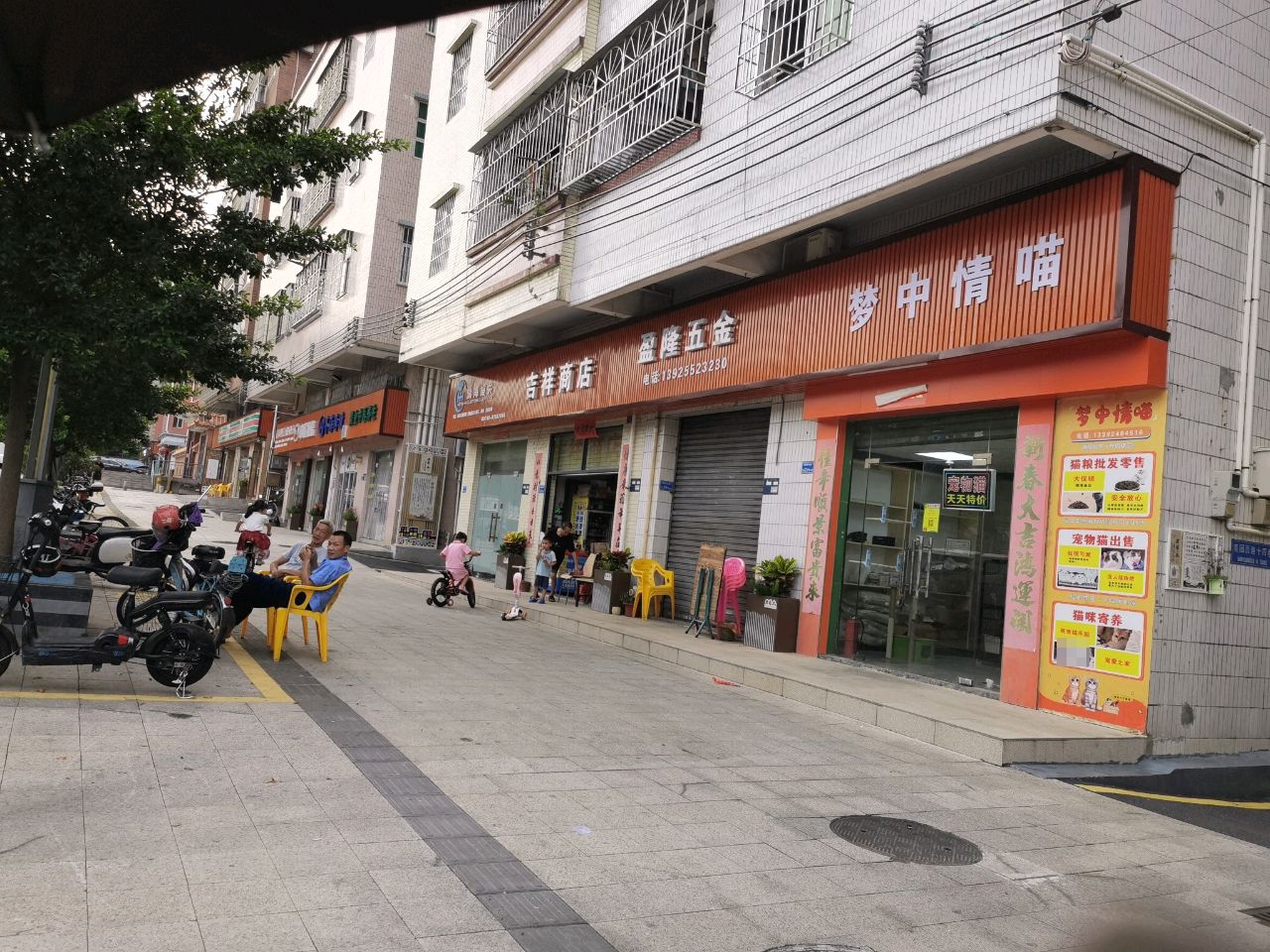 梦中情喵宠物店